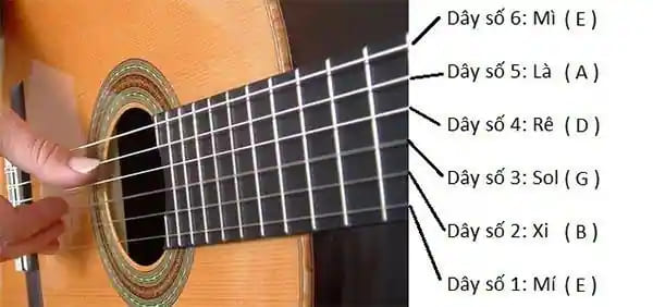 Hướng dẫn chi tiết cách lên dây đàn Guitar chuẩn và nhanh nhất